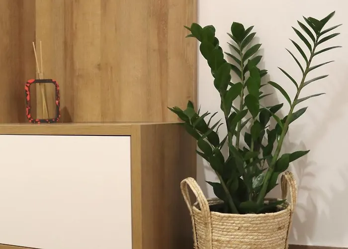 Cocoon Urban Apartament