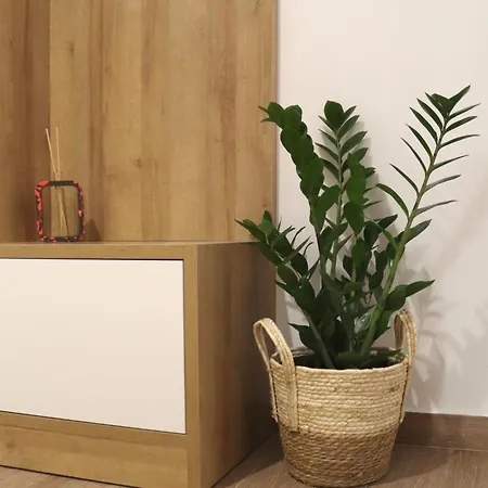 Cocoon Urban アパート