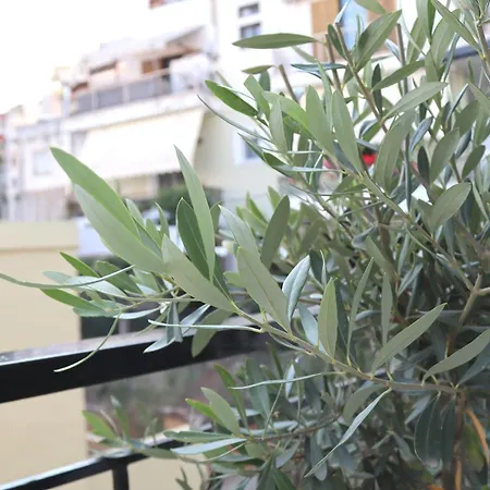 Cocoon Urban Kavala